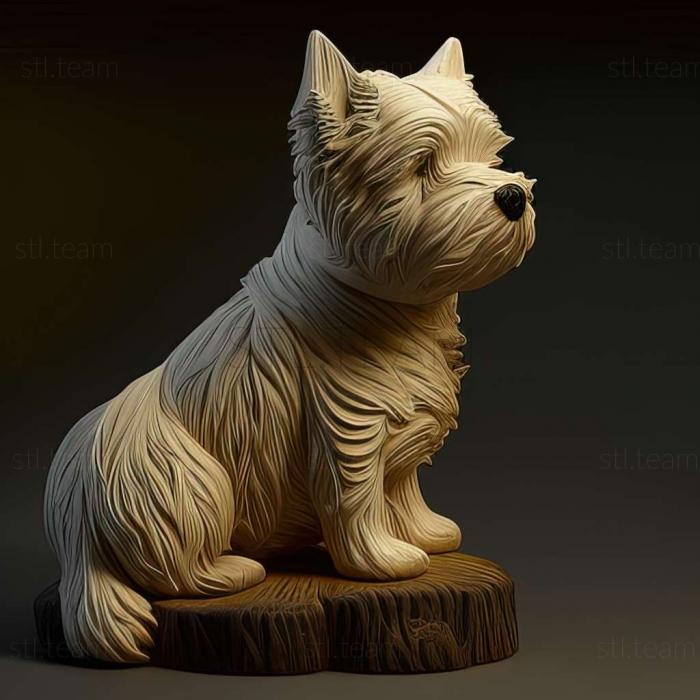 WeHighland White Terrier dog